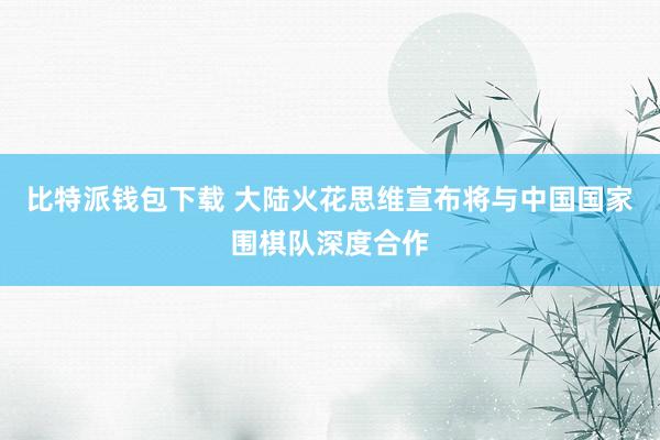 比特派钱包下载 大陆火花思维宣布将与中国国家围棋队深度合作