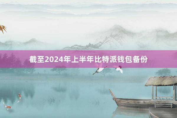 截至2024年上半年比特派钱包备份