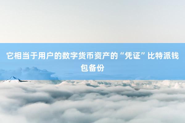 它相当于用户的数字货币资产的“凭证”比特派钱包备份