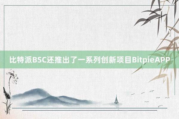 比特派BSC还推出了一系列创新项目BitpieAPP